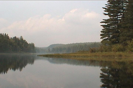 I notice that it's much quieter above the portage than below it.