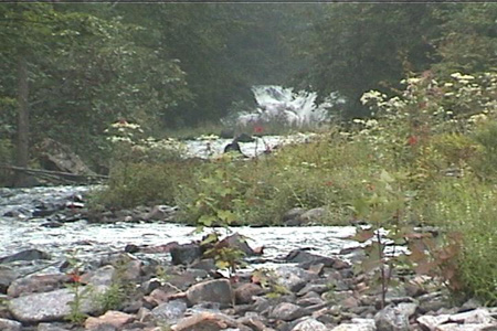 After carrying my 'yak bak across the portage, (downstream this time), I stopped to admire the Cardinal flowers growing in the rocky streambed.