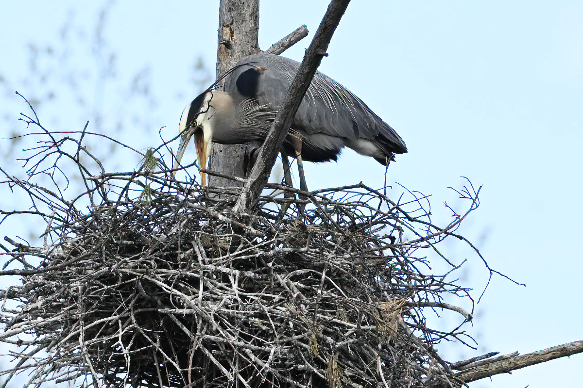 But is convinced by a stern look and a few choice words, to find another place to play.