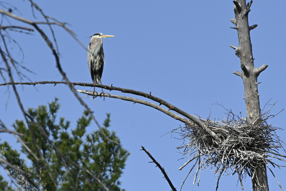 Someone is getting impatient for Mom to return.