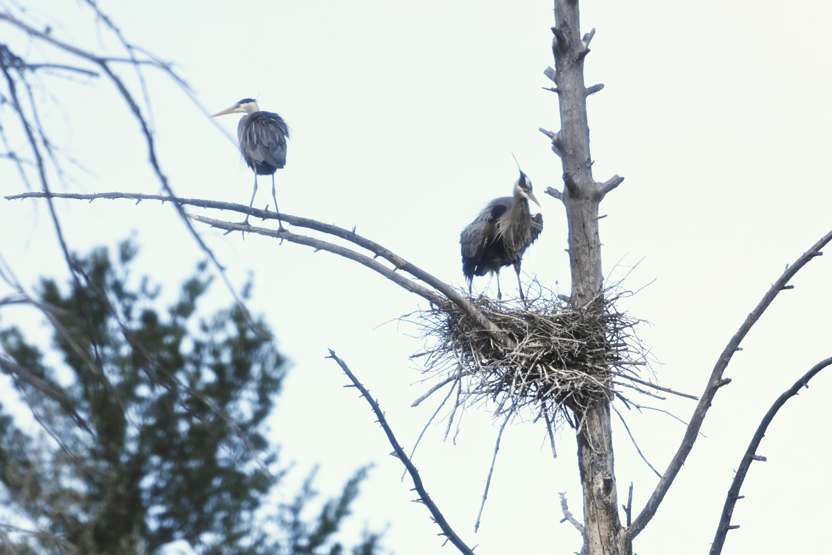 A quick check and the male is given the "all-clear" to leave.