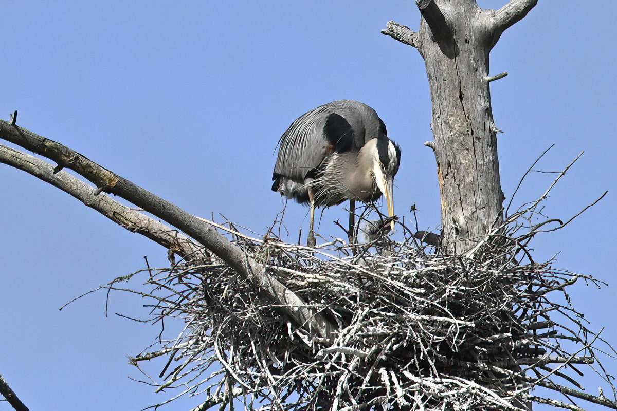 And seems to be asking for more already!