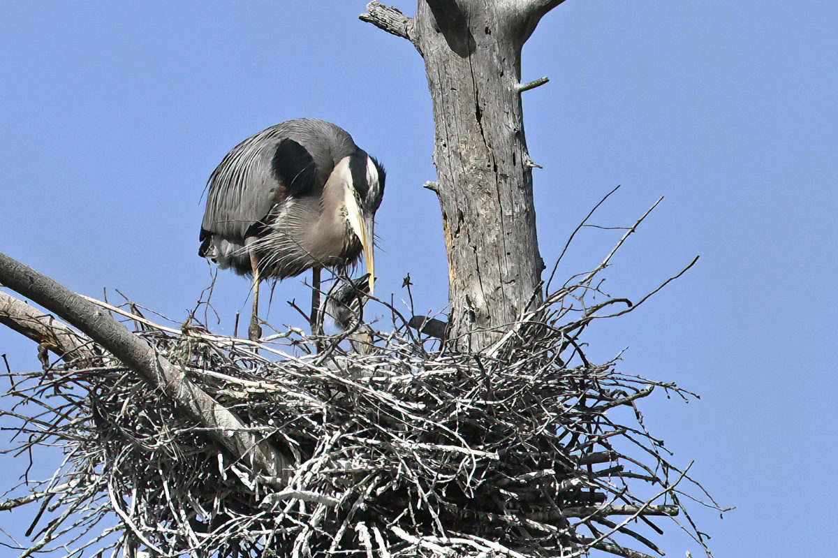 You'll make yourself sick!