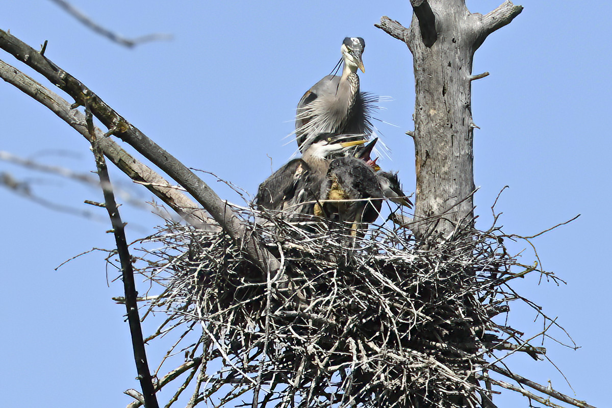 Rise and shine, it's almost 9:30 !