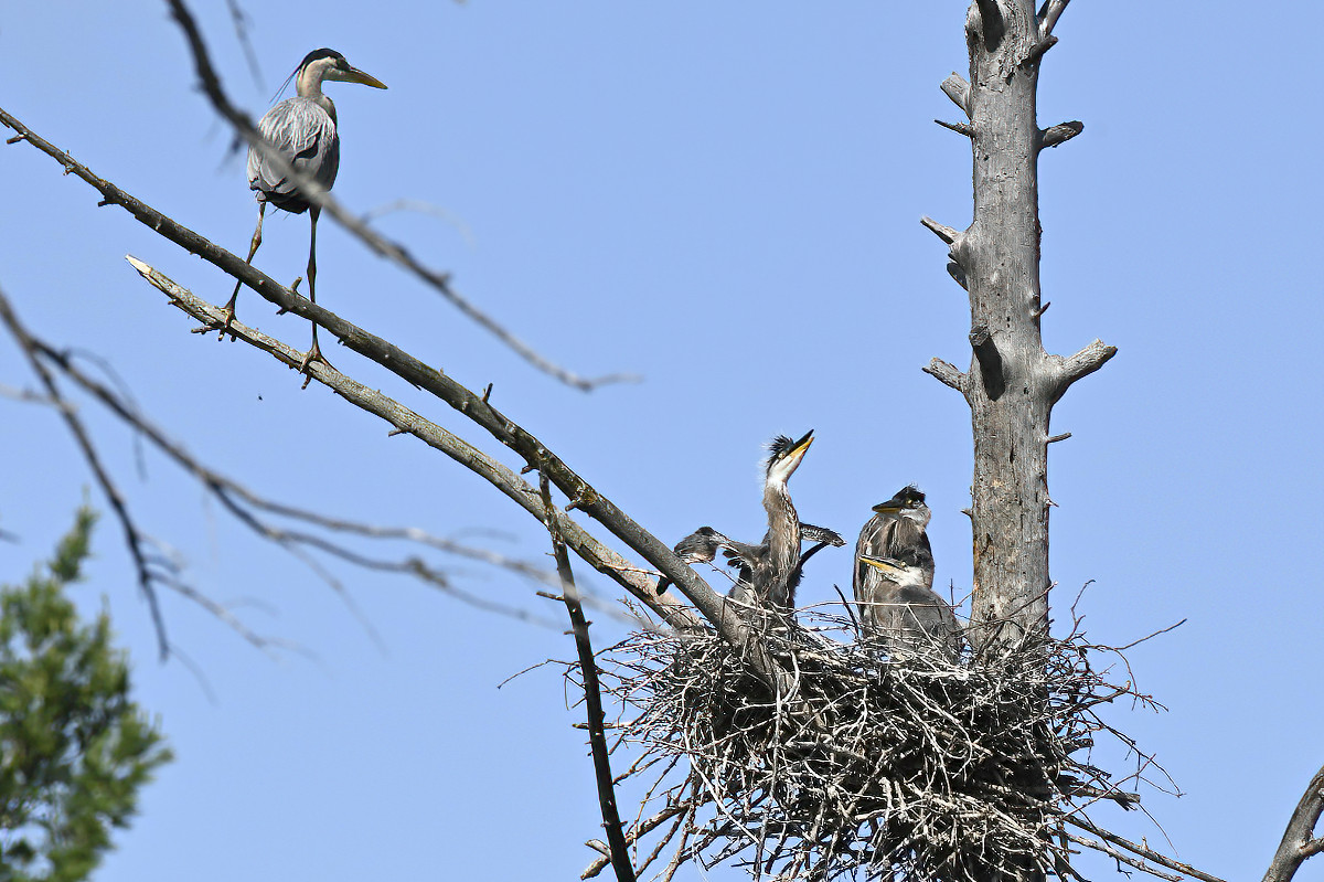 Wait, Mom, I'll come with you!!