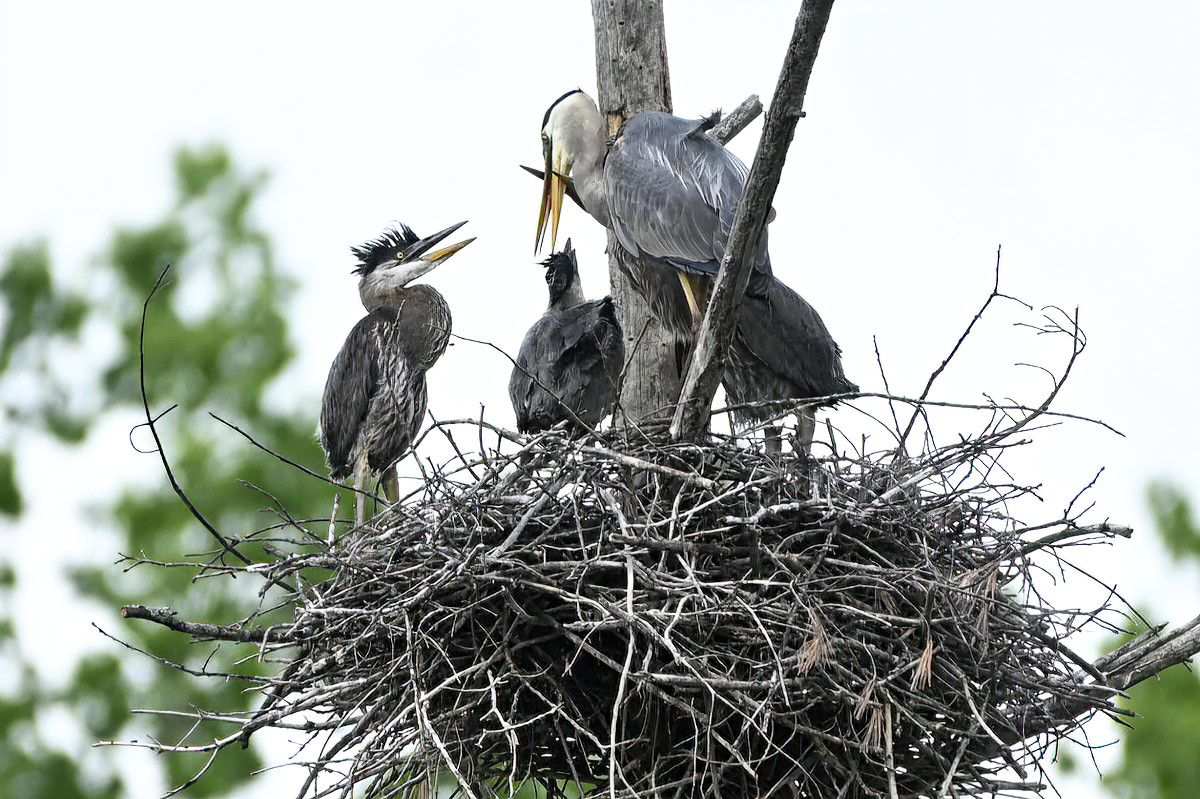 I think this one got a disciplinary talk.