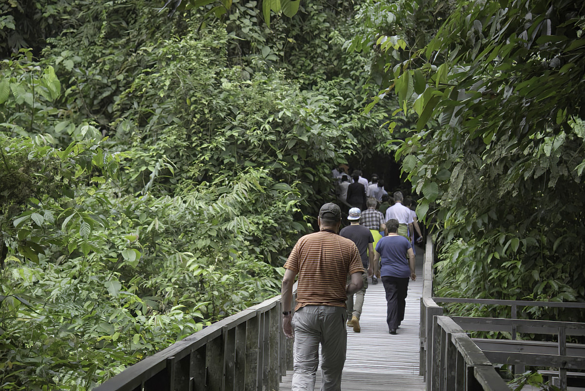 Off to see the wild Orangutans