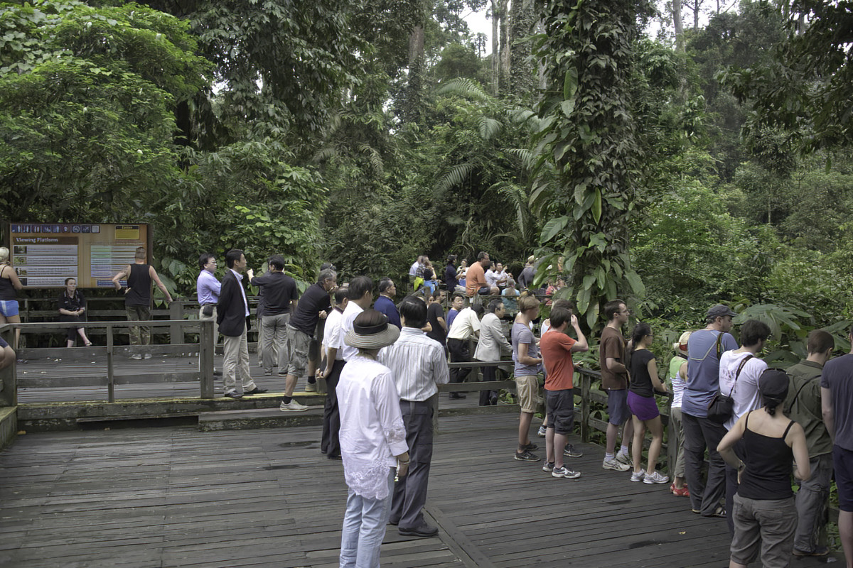 We tourists, hoping the Apes show up and the rain doesn't.