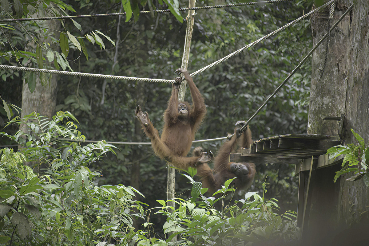 One of the first to check out the breakfast buffet.