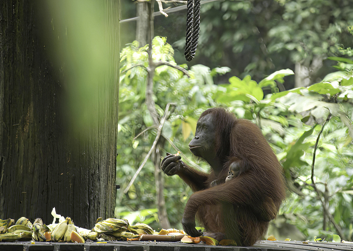 A mother arrived with her healthy baby hanging on "no matter what".