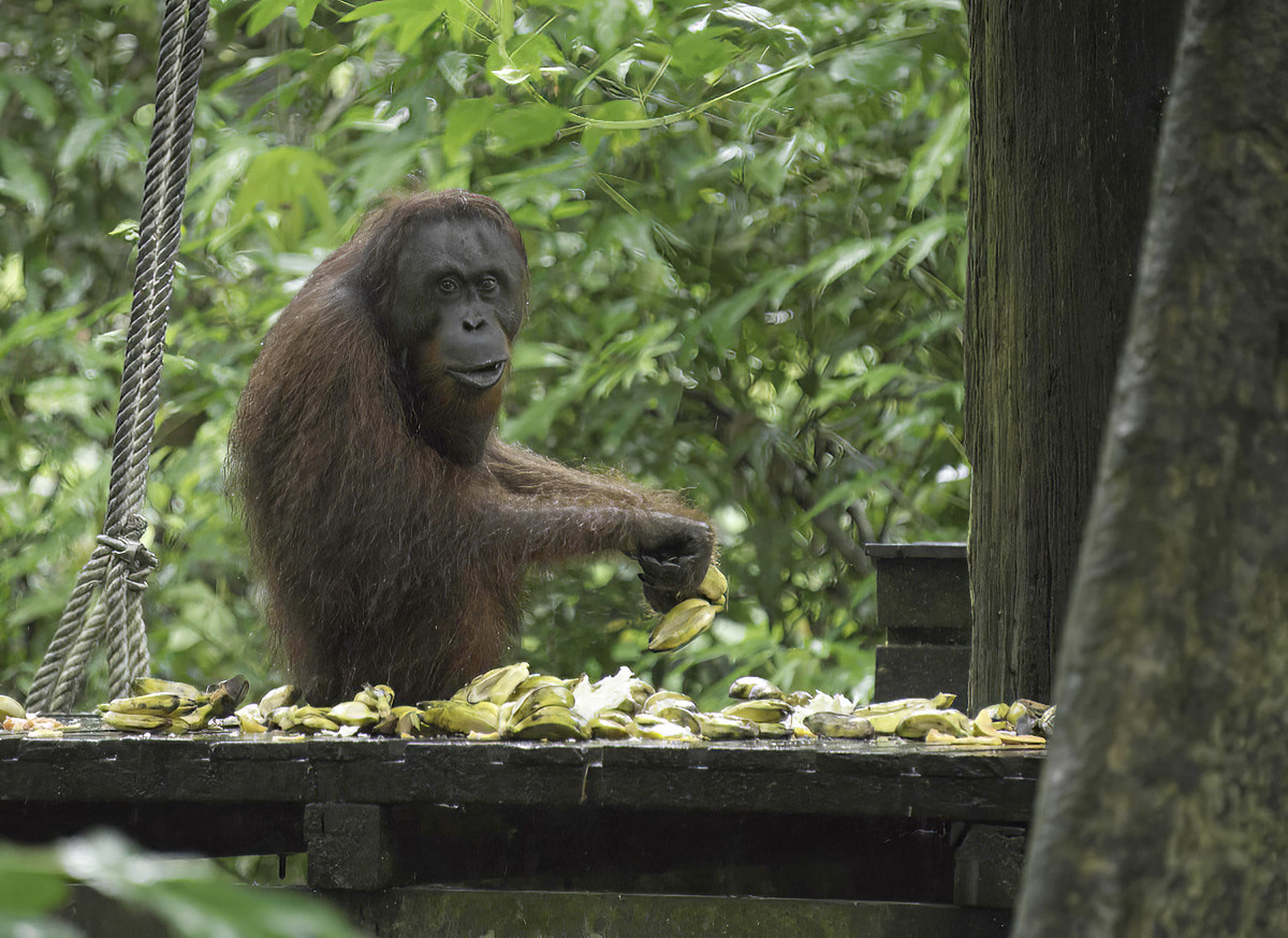 What are YOU looking at? 