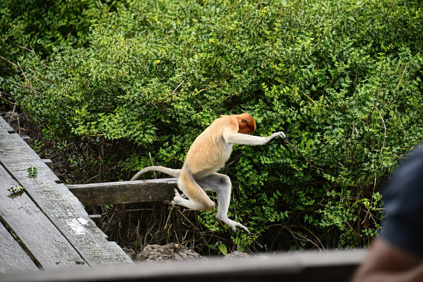 Point made, he moved on without pursuing the Grey.