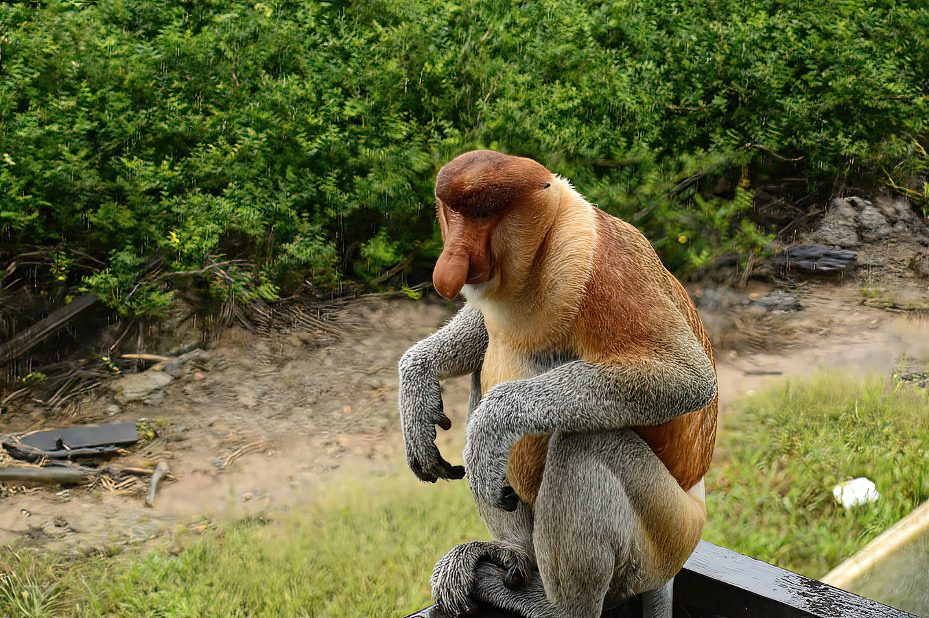 He posed for an offical portrait.