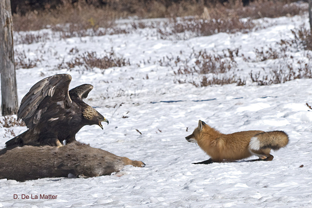 "Let's share. It's too big for just YOU."