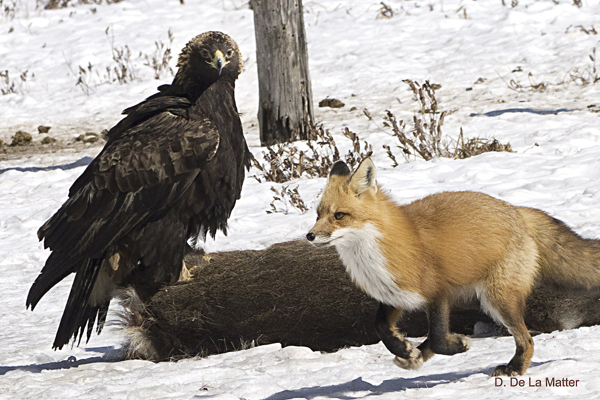 "Really? You want to go at this another time? Get serious!"