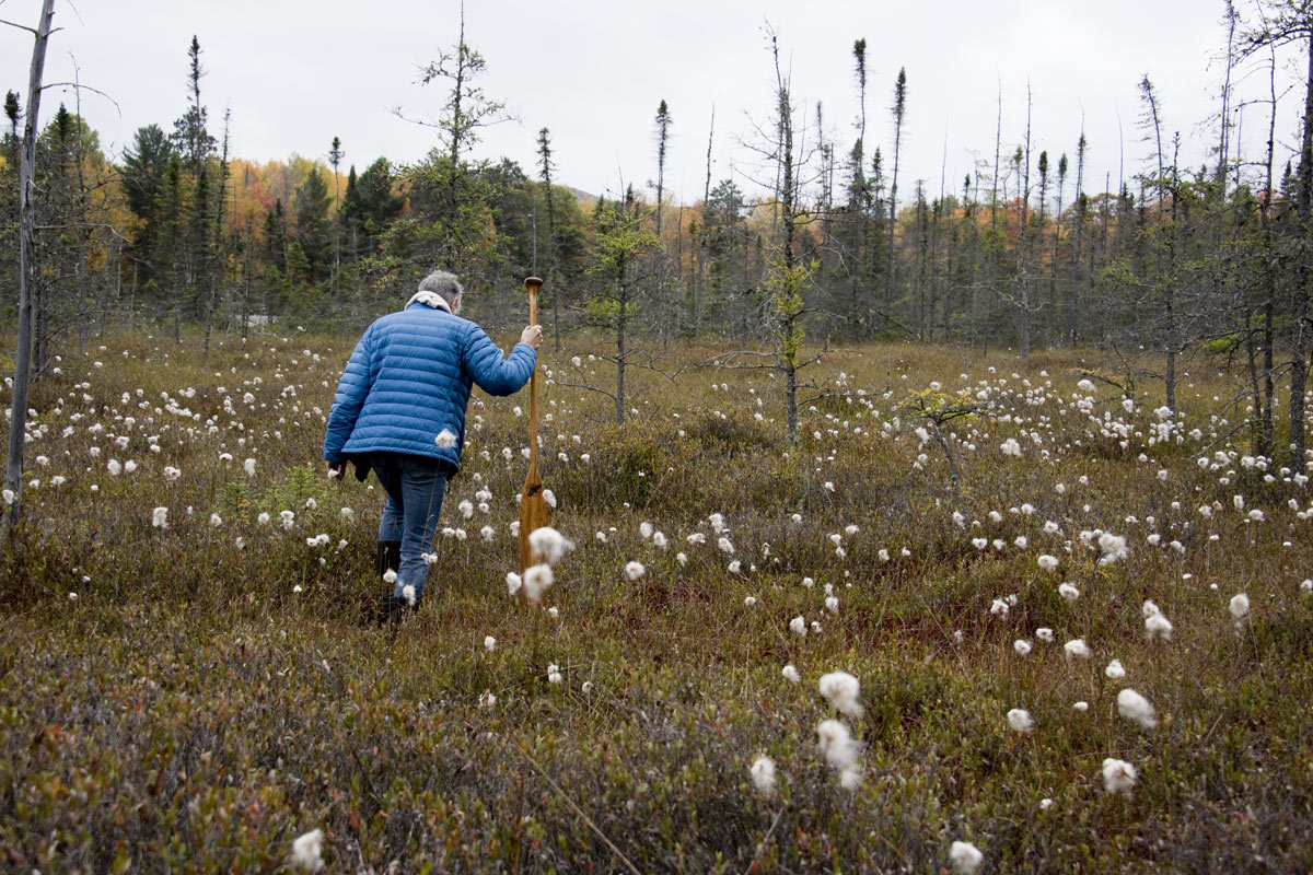 The fall blooms last well into the winter. 