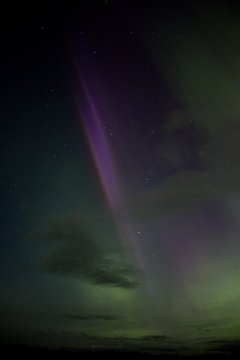 Sept. 7, 2017  The beginning of another Steve ?